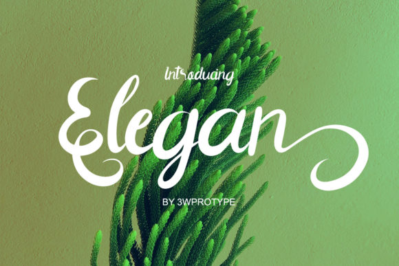 Elegan: A Refined Script Font for Handmade Labels & Printables