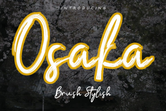 Osaka: A Joyful Script Font for Modern Digital Brands