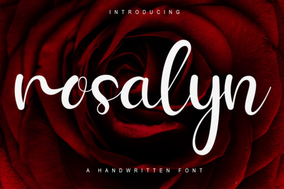 Rosalyn: A Vivid, Approachable Script Font for Real Branding