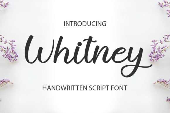 Withney: A Stylish Script Font
